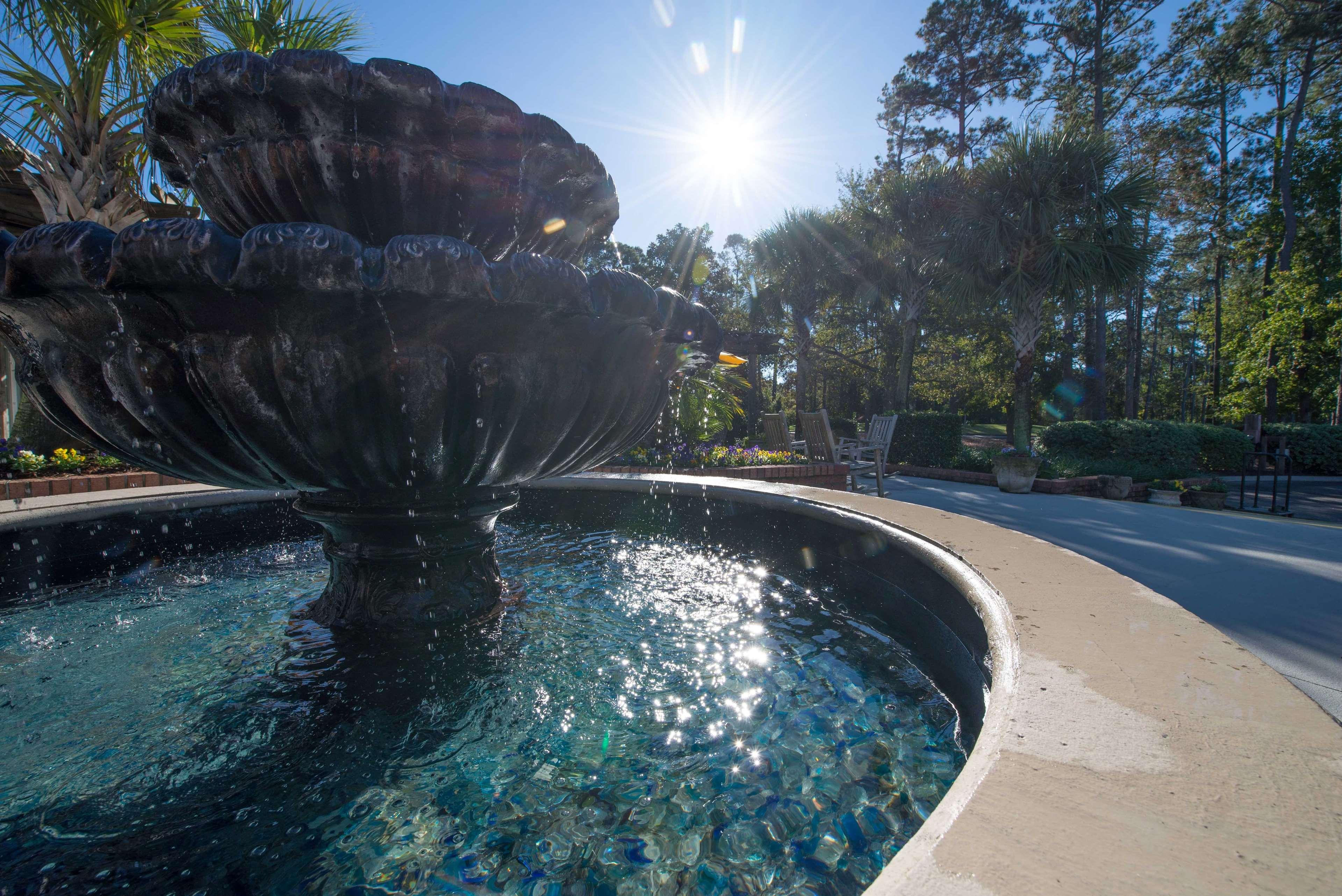 Ellington At Wachasaw Eas Aparthotel Murrells Inlet Exterior foto